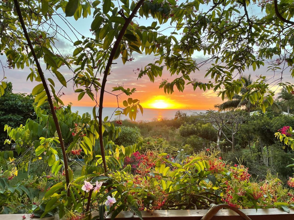 Villa Nature Caraibe Lodge, Vue Mer, Piscine Privee Десе Екстериор снимка
