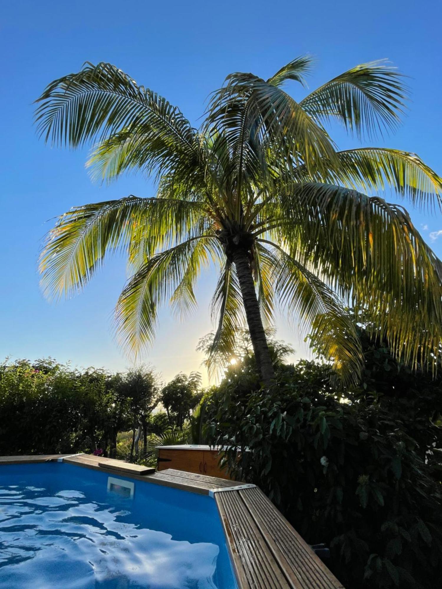 Villa Nature Caraibe Lodge, Vue Mer, Piscine Privee Десе Екстериор снимка